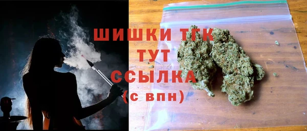 шишки Беломорск