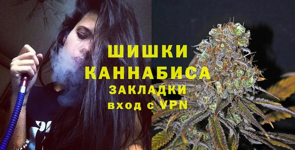 шишки Беломорск
