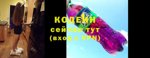 молекула духа Семилуки
