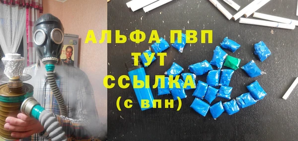шишки Беломорск