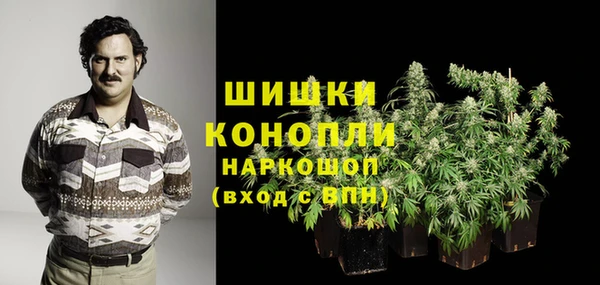 соль ск Белокуриха