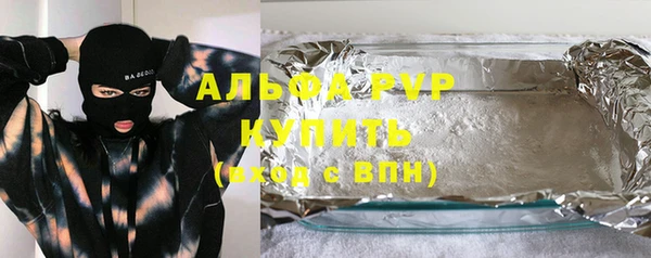 шишки Беломорск