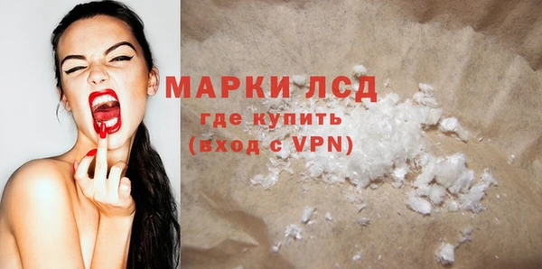 шишки Беломорск