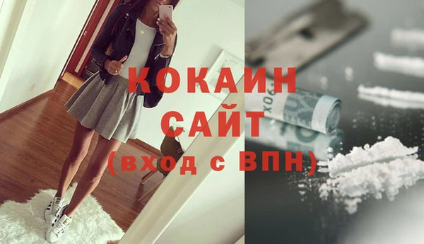 шишки Беломорск